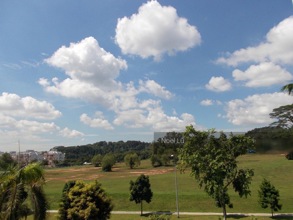 Woodgrove Condominium (D25), Condominium #119190212